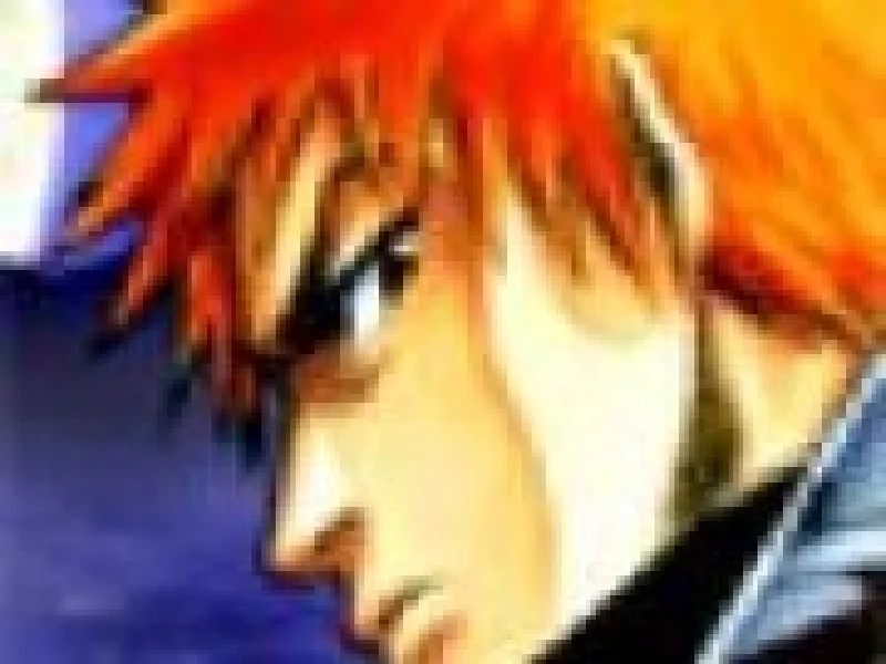 Bleach Antrenamentul lui Ichigo