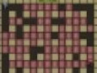 Bomberman