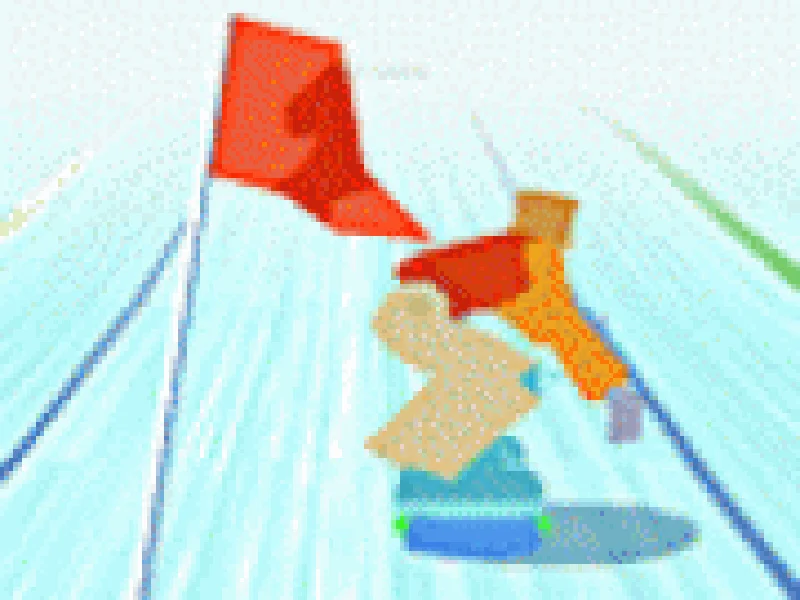Competitia de snowboard