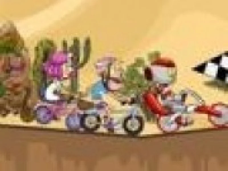 Curse Biciclete