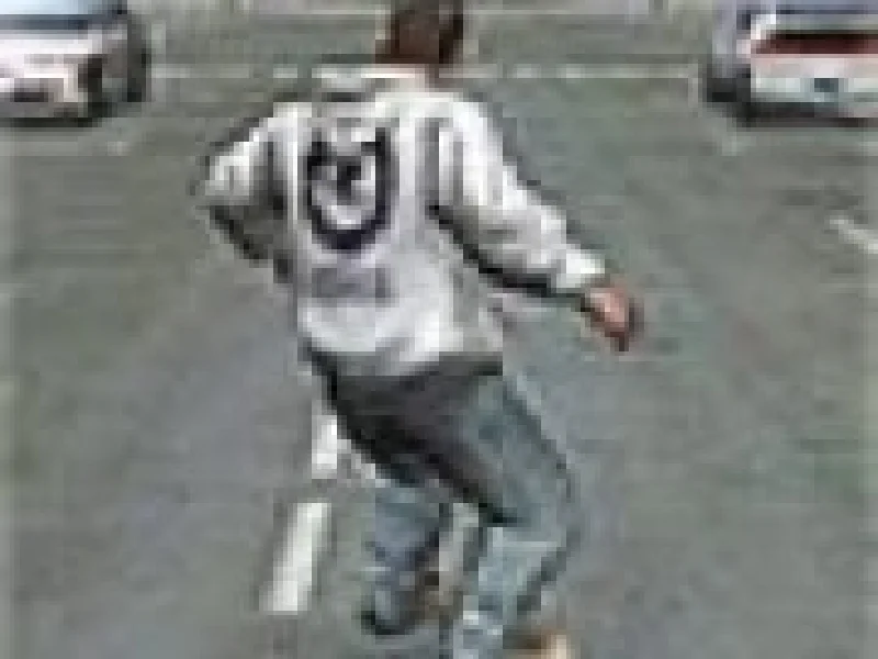 curse cu skateboard