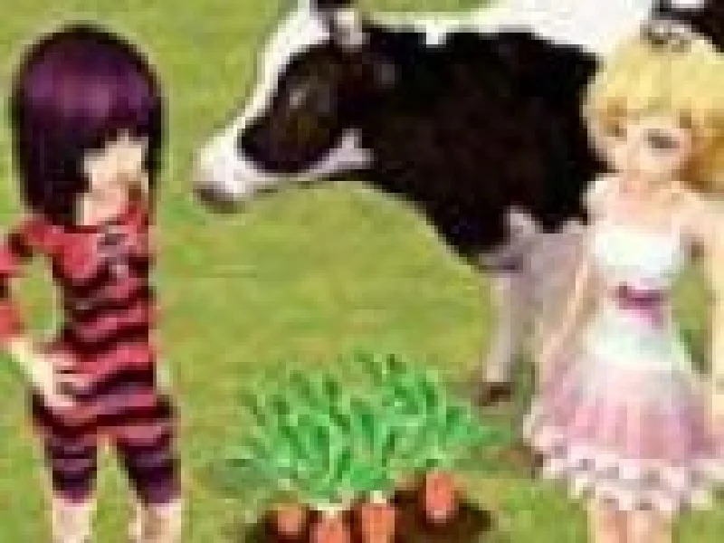 Ferma 3D