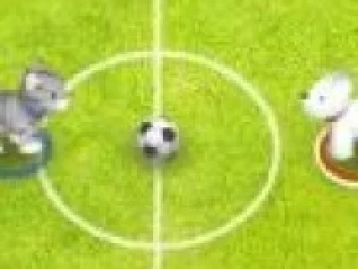 Fotbal cu catelusi