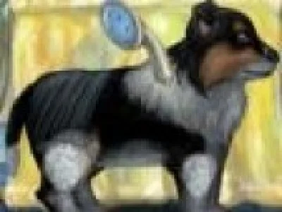 Ingrijeste catelul