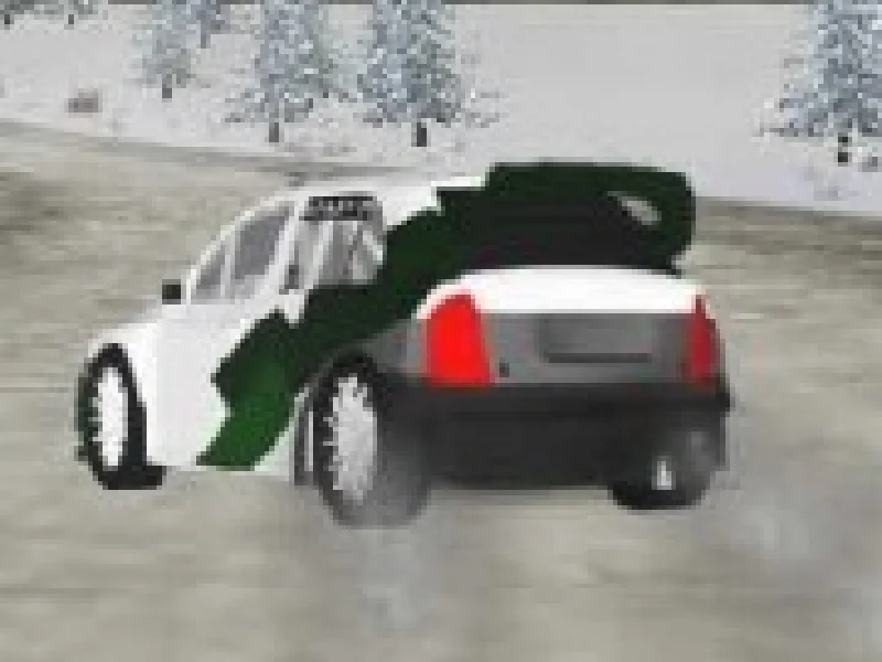 campionatul de masini raliu 3d