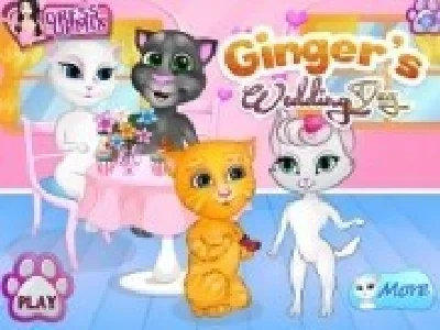 nunta lui talking ginger