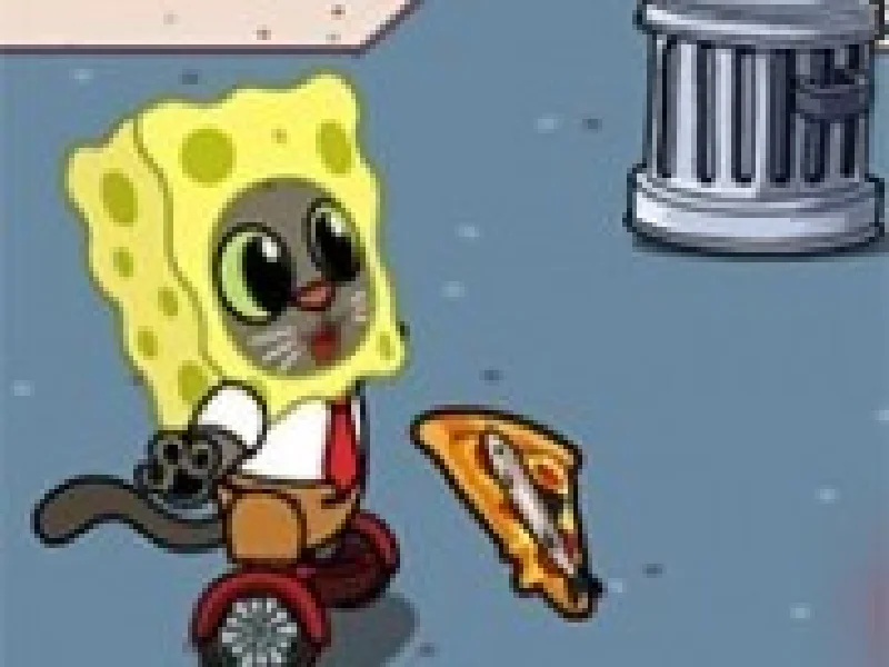 pisicile pizza pe hover