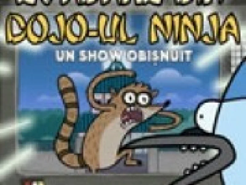 un show obisnuit dojo ninja