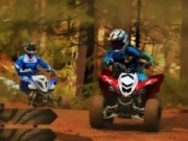 curse atv de padure