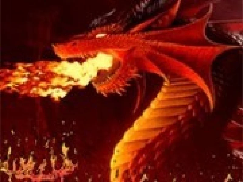 foc de dragon