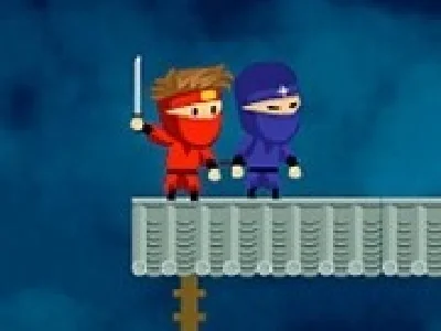 ninja salveaza printesa