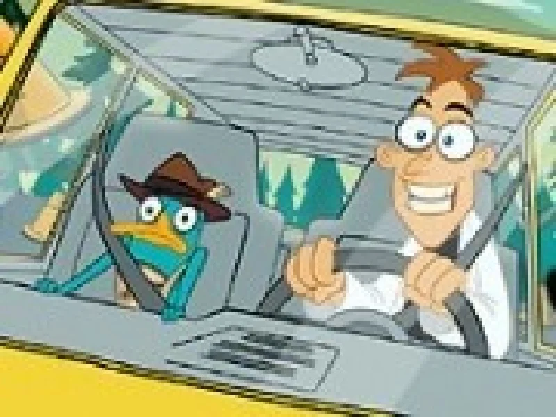 perry ornitorincul si testul de condus