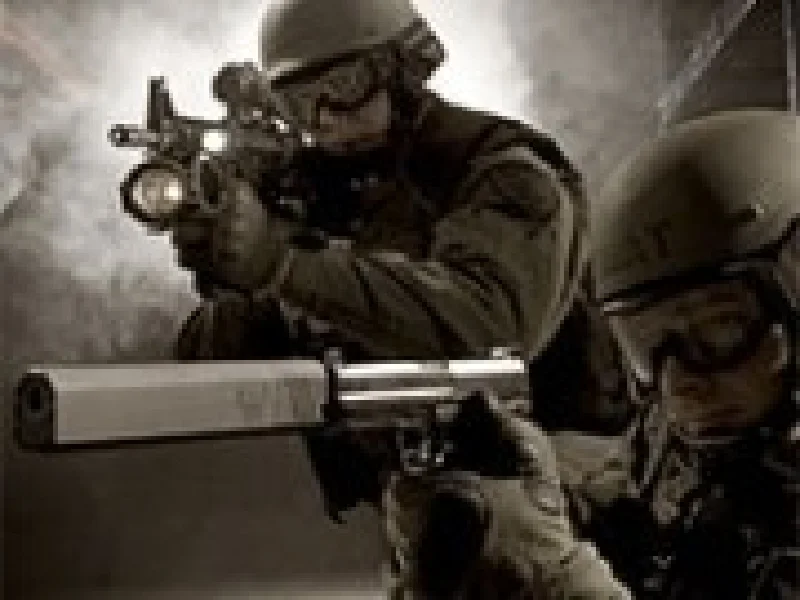 swat 3 online