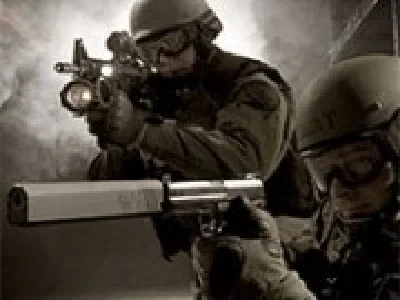 swat 3 online