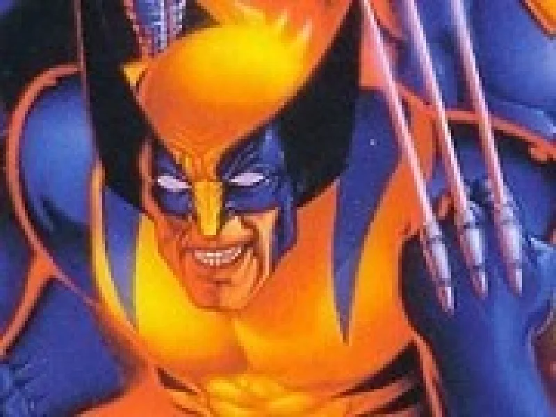 x men wolverine si echipa