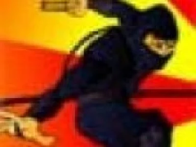 Luptatorul Ninja