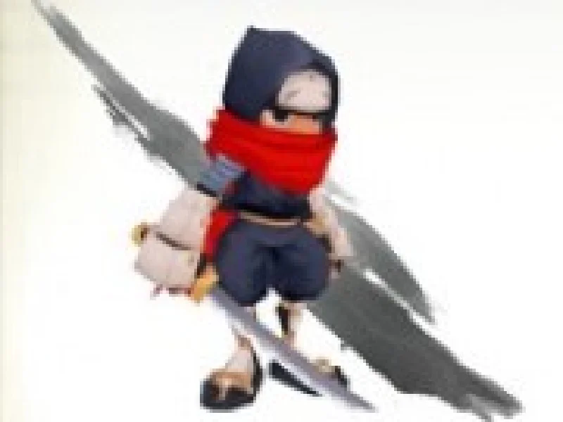 Ninja in actiune