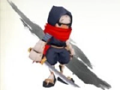 Ninja in actiune