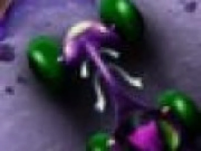 Orbitrax curse