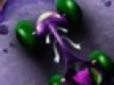 Orbitrax curse