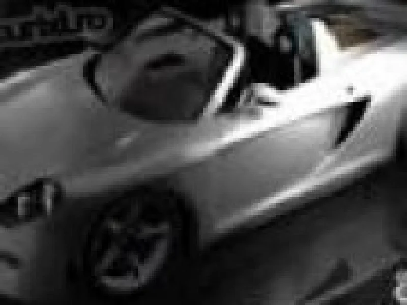 Porche Carrera fun
