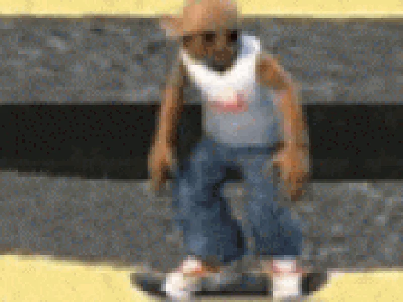 Skate mania