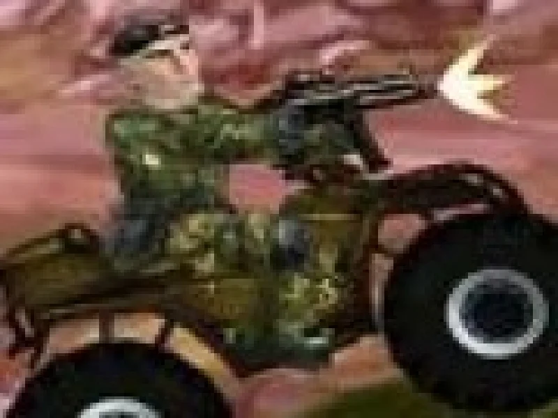 Soldatul commando