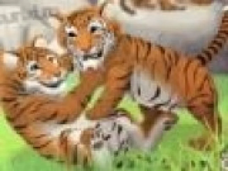 Tigri la Zoo