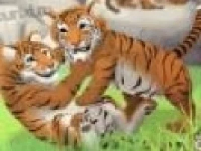 Tigri la Zoo