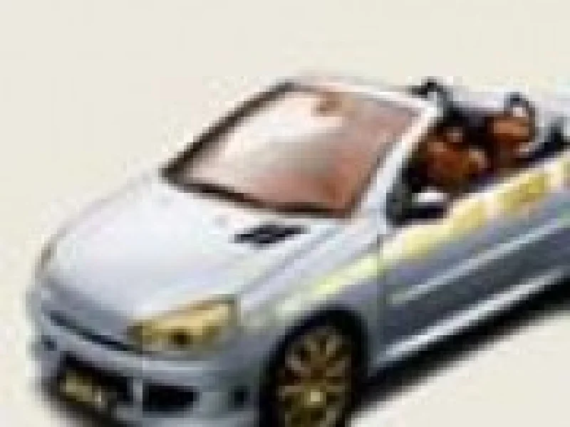 Tuneaza un Peugeot 206 GT